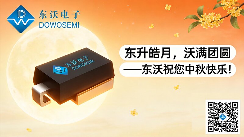 东沃.jpg
