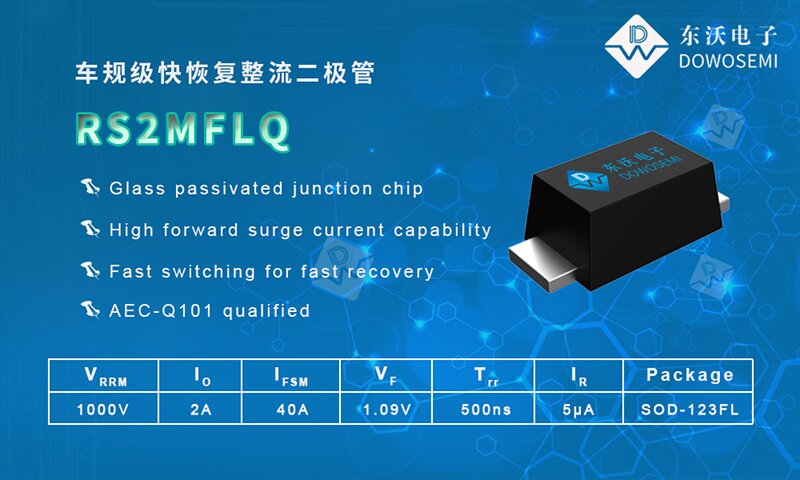 FR-RS2MFLQ.jpg
